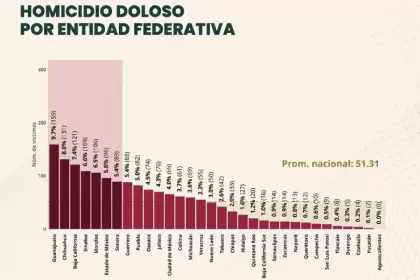 Gráfico comparativo de homicidios dolosos en México