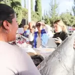 Tere Jiménez realizó una gira por comunidades de cuatro municipios, donde entregó apoyos y regalos navideños a familias del interior del estado.