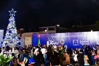 Encendido del Árbol del DIF Estatal reúne a familias en una noche llena de luz, unión y espíritu navideño encabezada por Tere y Aurora Jiménez.