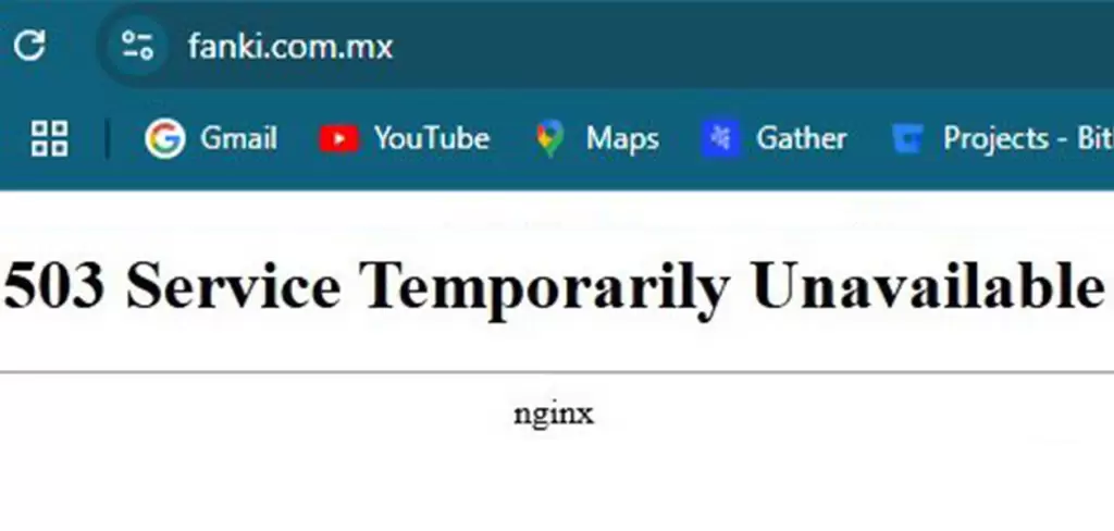 Aficionados afectados por fallas en la venta de boletos del partido México vs Portugal.