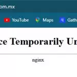 Aficionados afectados por fallas en la venta de boletos del partido México vs Portugal.