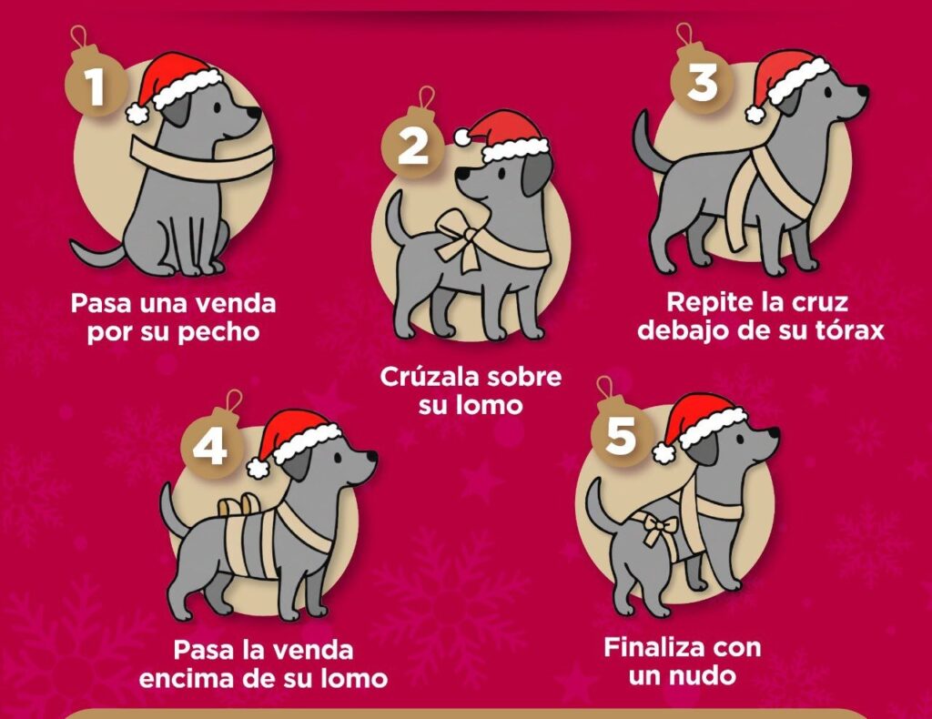 Mascotas sufren ansiedad y estrés por pirotecnia durante celebraciones de Navidad y Año Nuevo