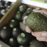 Aguacate: la mayor inversión de México en el Super Bowl