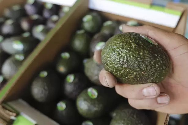 Aguacate: la mayor inversión de México en el Super Bowl