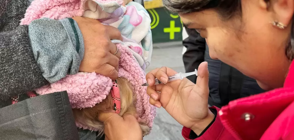 Aguascalientes esterilización gratuita jlmnoticias