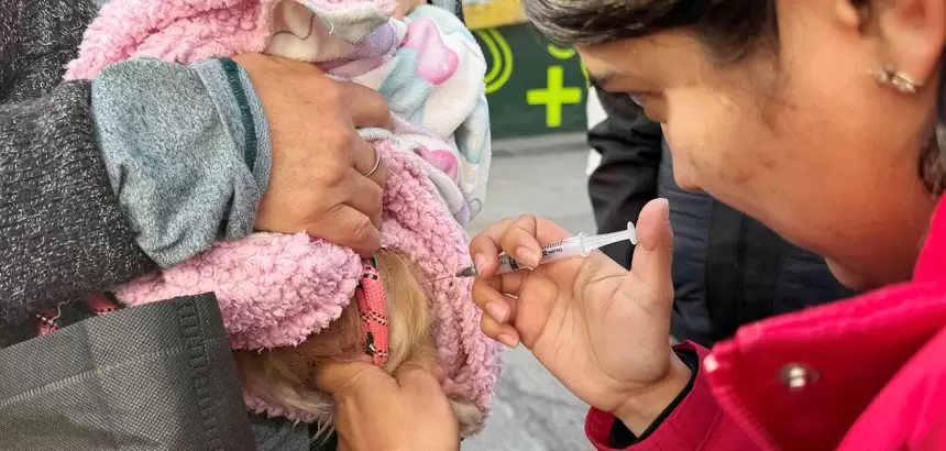 Aguascalientes esterilización gratuita jlmnoticias