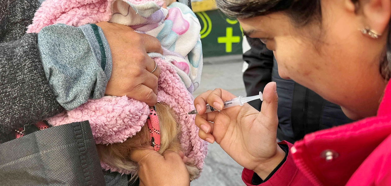 Aguascalientes esterilización gratuita jlmnoticias
