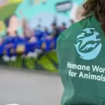 Clínica veterinaria móvil aguascalientes jlmnoticias