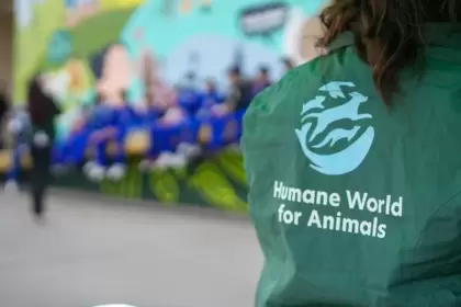 Clínica veterinaria móvil aguascalientes jlmnoticias