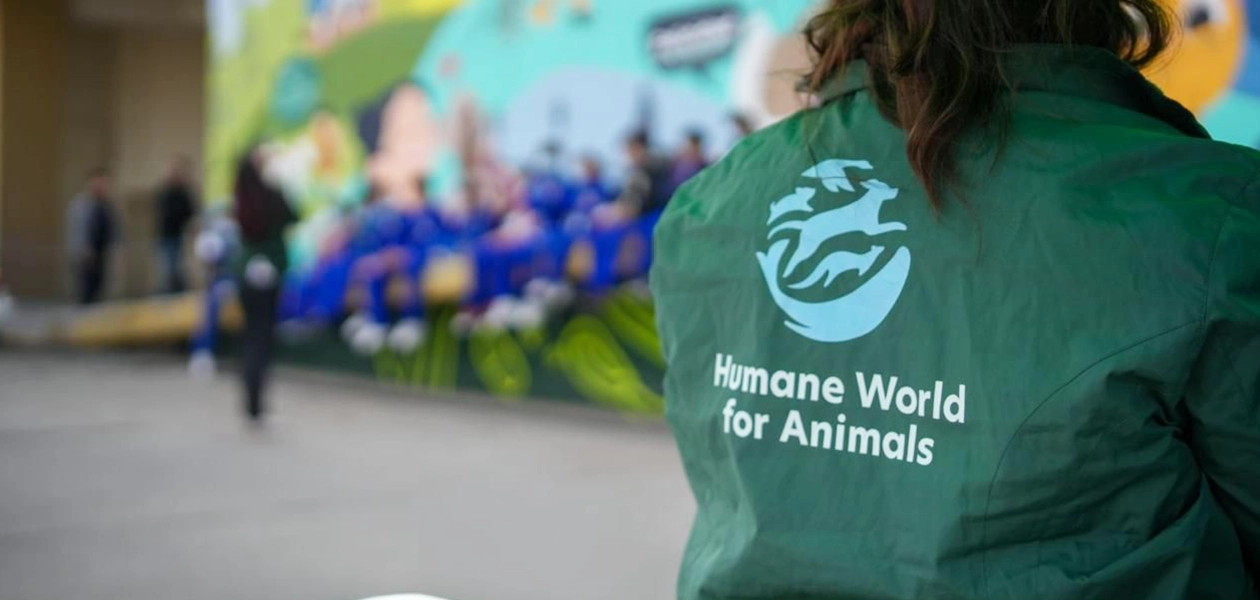 Clínica veterinaria móvil aguascalientes jlmnoticias