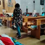 Más de 50 hidrocálidos varados en Jalisco