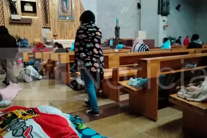 Más de 50 hidrocálidos varados en Jalisco