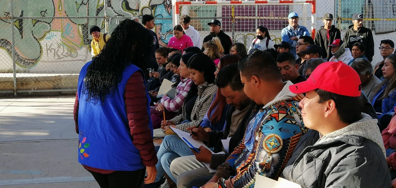 ¡No te quedes sin ficha! Renueva tu licencia de manejo de manera sencilla