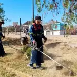 Municipio limpieza Guadalupe peralta jlmnoticias