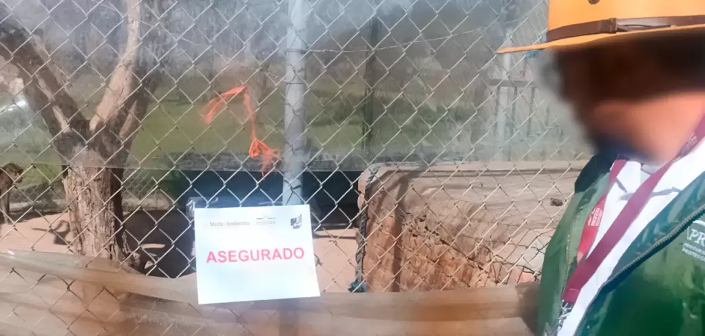 Operativo federal en Aguascalientes: Profepa asegura 44 animales exóticos y silvestres en rancho turístico de Jaltomate. Foto: JLMNoticias / Profepa.