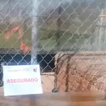 Operativo federal en Aguascalientes: Profepa asegura 44 animales exóticos y silvestres en rancho turístico de Jaltomate. Foto: JLMNoticias / Profepa.