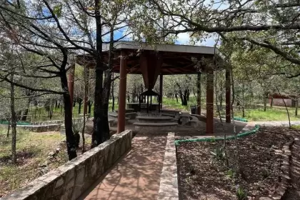 CEAI Los Alamitos en la Sierra Fría ofrece talleres y educación ambiental. Agenda tu visita 2026 en Aguascalientes.