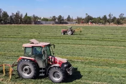 Gobierno de Aguascalientes ofrece hasta 150 mil pesos para adquirir tractores nuevos. Convocatoria abierta hasta el 31 de marzo de 2026.