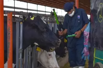 Gobierno de Aguascalientes abre apoyos de hasta 50 mil pesos para productores de ganado, abejas y peces. Convocatoria vigente hasta el 27 de marzo.