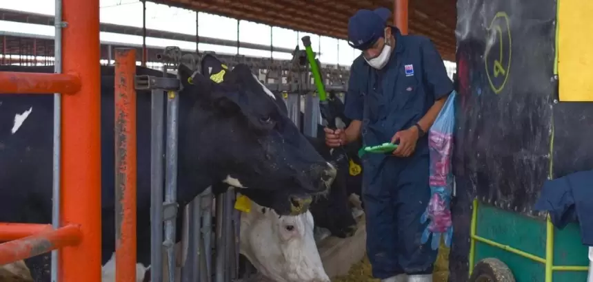 Gobierno de Aguascalientes abre apoyos de hasta 50 mil pesos para productores de ganado, abejas y peces. Convocatoria vigente hasta el 27 de marzo.