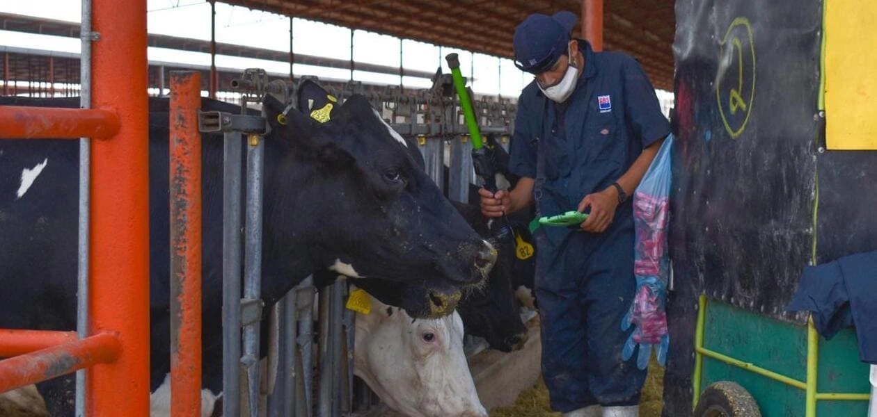 Gobierno de Aguascalientes abre apoyos de hasta 50 mil pesos para productores de ganado, abejas y peces. Convocatoria vigente hasta el 27 de marzo.