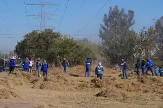 limpieza sur jlmnoticias