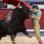 Agresivos y con malas ideas fueron los toros de Dolores Aguirre hoy en Madrid, sin embargo, Isaac Fonseca les aguantó siempre.