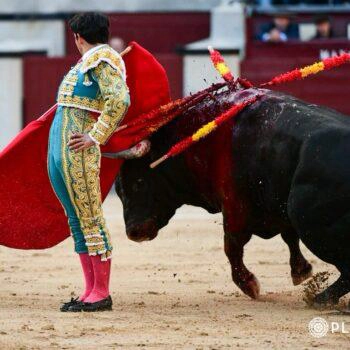 Dispuesto y valiente pese al viento, el michoacano Isaac Fonseca se comportó hoy en Las Ventas.