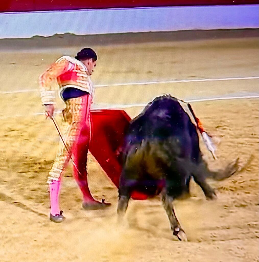 A su segundo, literalmente Héctor Gutiérrez le tuvo que robar algunos muletazos pues el astado mostró malas ideas. Foto: JLMNoticias / Especial / Memo Leal.