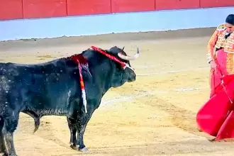 Constantemente, tenía Héctor que ayudarse con la espada para paliar los embates del viento hoy en España. Foto: JLMNoticias / Especial / Memo Leal.
