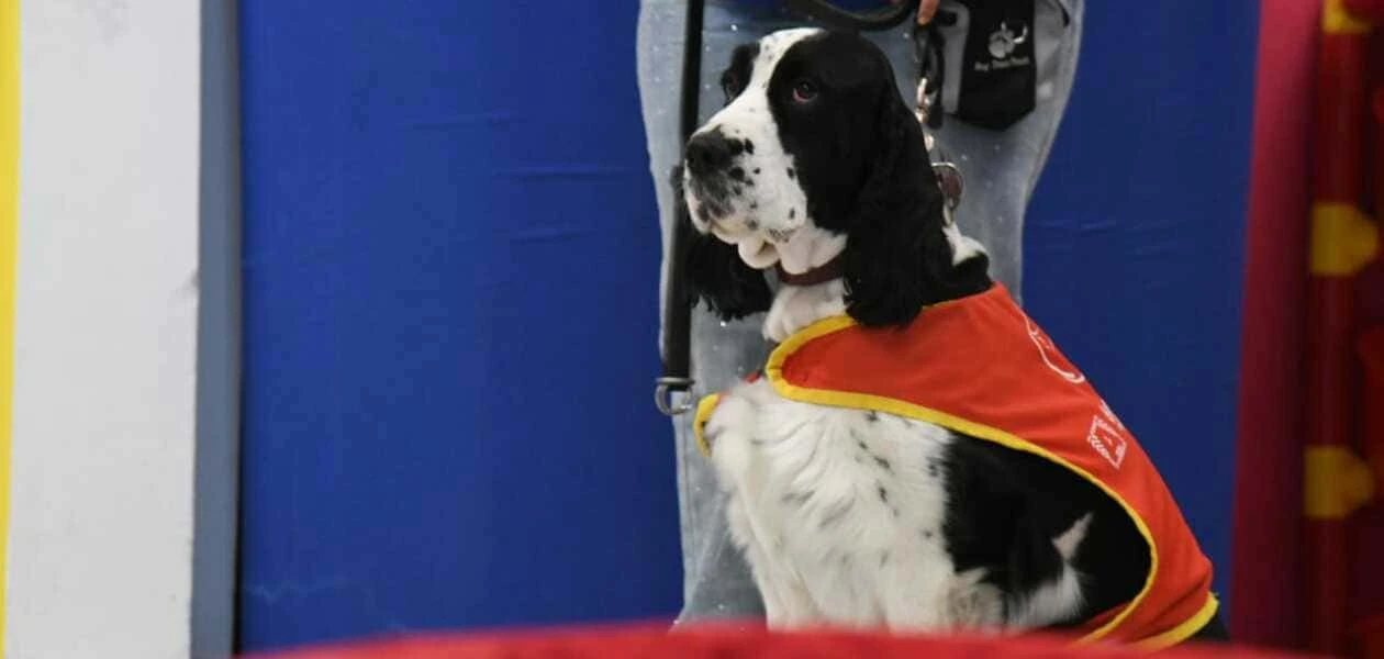 Señora Jingles, perrita terapeuta del DIF Aguascalientes, participa en sesiones de canoterapia para niñas y niños.
