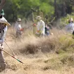 Municipio realiza mantenimiento en La Pona 2026 jlmnoticias