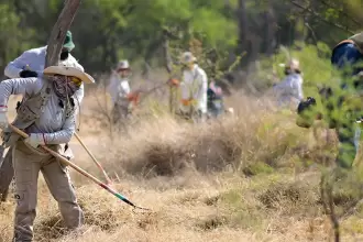 Municipio realiza mantenimiento en La Pona 2026 jlmnoticias