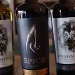 Casa de Quesada y El Secreto obtienen 8 medallas en el Japan Women’s Wine Awards Sakura 2026, destacando a Aguascalientes en la industria del vino.