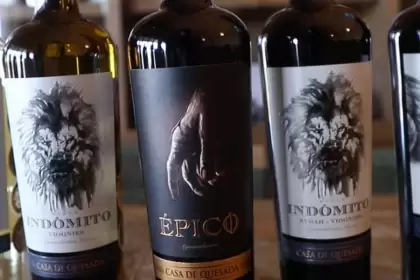 Casa de Quesada y El Secreto obtienen 8 medallas en el Japan Women’s Wine Awards Sakura 2026, destacando a Aguascalientes en la industria del vino.