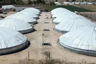 Aguascalientes produce pescado fresco en 38 granjas acuícolas certificadas y fortalece su oferta local durante la Cuaresma.