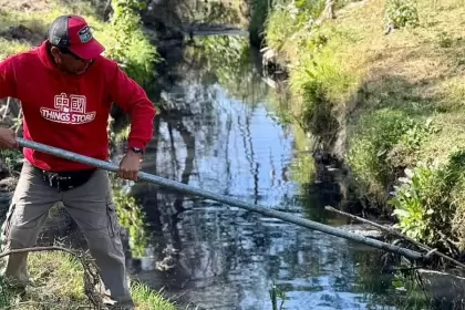 Más de 700 toneladas de residuos fueron retiradas del río San Pedro en jornadas de limpieza en Aguascalientes.