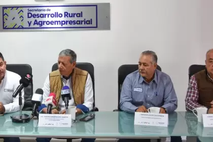 Expo Campo llega a la Feria Nacional de San Marcos 2026 con actividades gratuitas, productos del campo y enfoque en sostenibilidad.