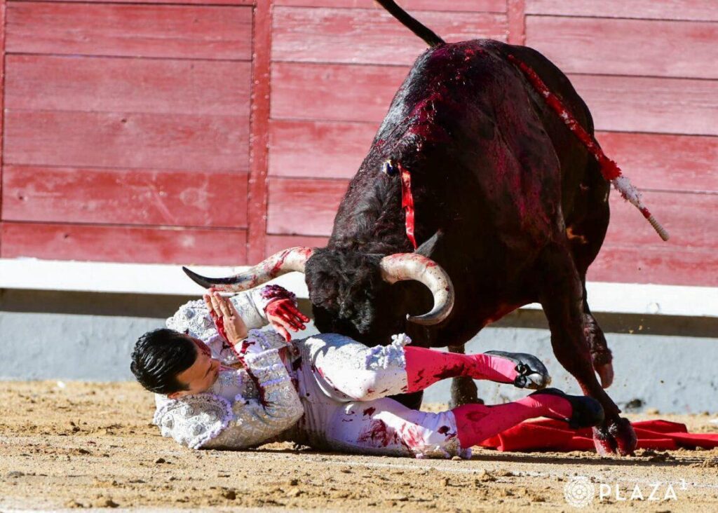 Ese toro el de la ceremonia lo revolcó sin  consecuencias graves.