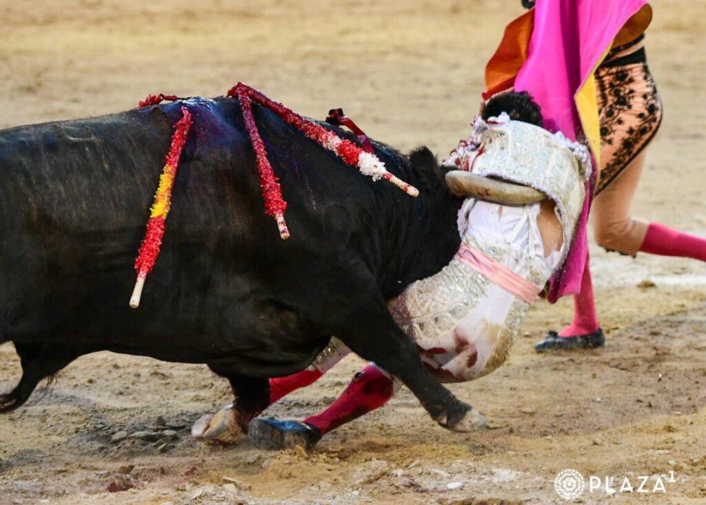 Pero luego el sexto le dio un revolcón espeluznante y eterno, del cual sufrió una cornada en un gemelo el albaceteño Pérez.