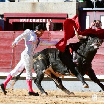 El confirmante estuvo firme en el que abrió plaza en Las Ventas y dio una vuelta al ruedo