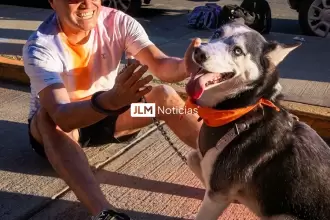 Entrenamiento físico y emocional para una mascota durante una carrera