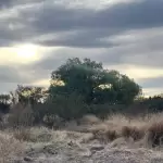 Aguascalientes refuerza conservación ambiental de La Pona