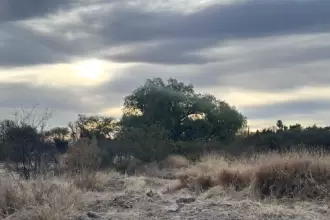 Aguascalientes refuerza conservación ambiental de La Pona