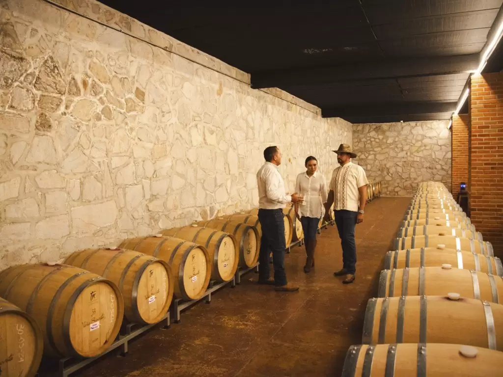 Aguascalientes sera sede del Congreso Internacional del Vino Mexicano 2026 JLMNoticias 3