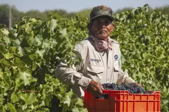 Aguascalientes será sede del Congreso Internacional del Vino Mexicano 2026 JLMNoticias