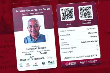 Servicio Universal de Salud: todos los detalles que tienes que saber antes de registrarte