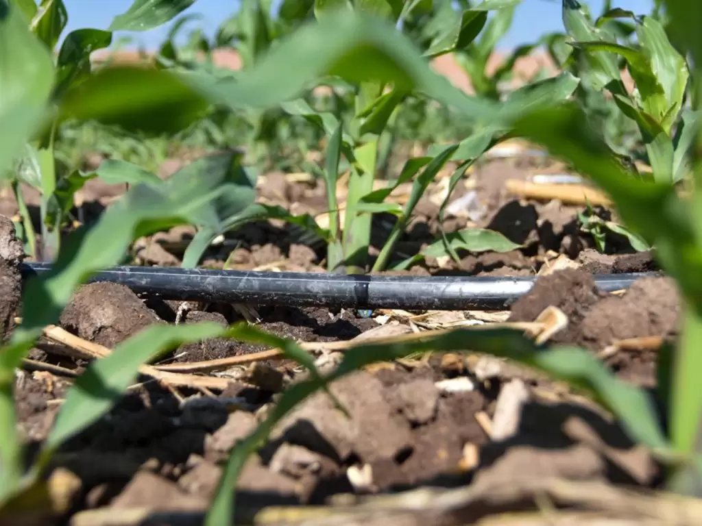 Distrito de Riego beneficia a mas de 180 productores en Aguascalientes JLMNoticias 5