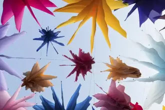 La FNSM 2026 tendrá jardín botánico en Corredor Carranza jlmnoticias