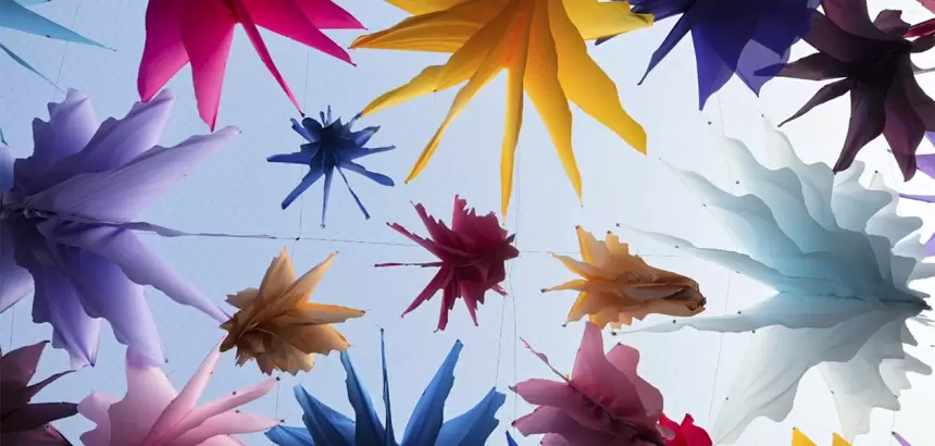 La FNSM 2026 tendrá jardín botánico en Corredor Carranza jlmnoticias